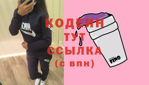 дурь Няндома